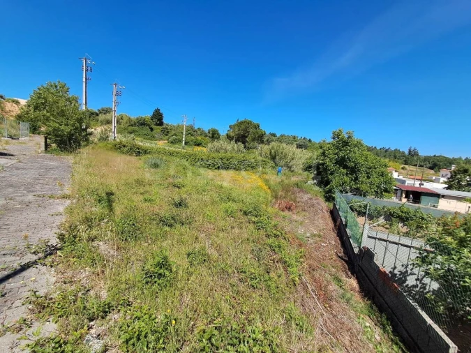 Terreno para Venda em Torres Novas (Santa Maria, Salvador e Santiago) Foto 7