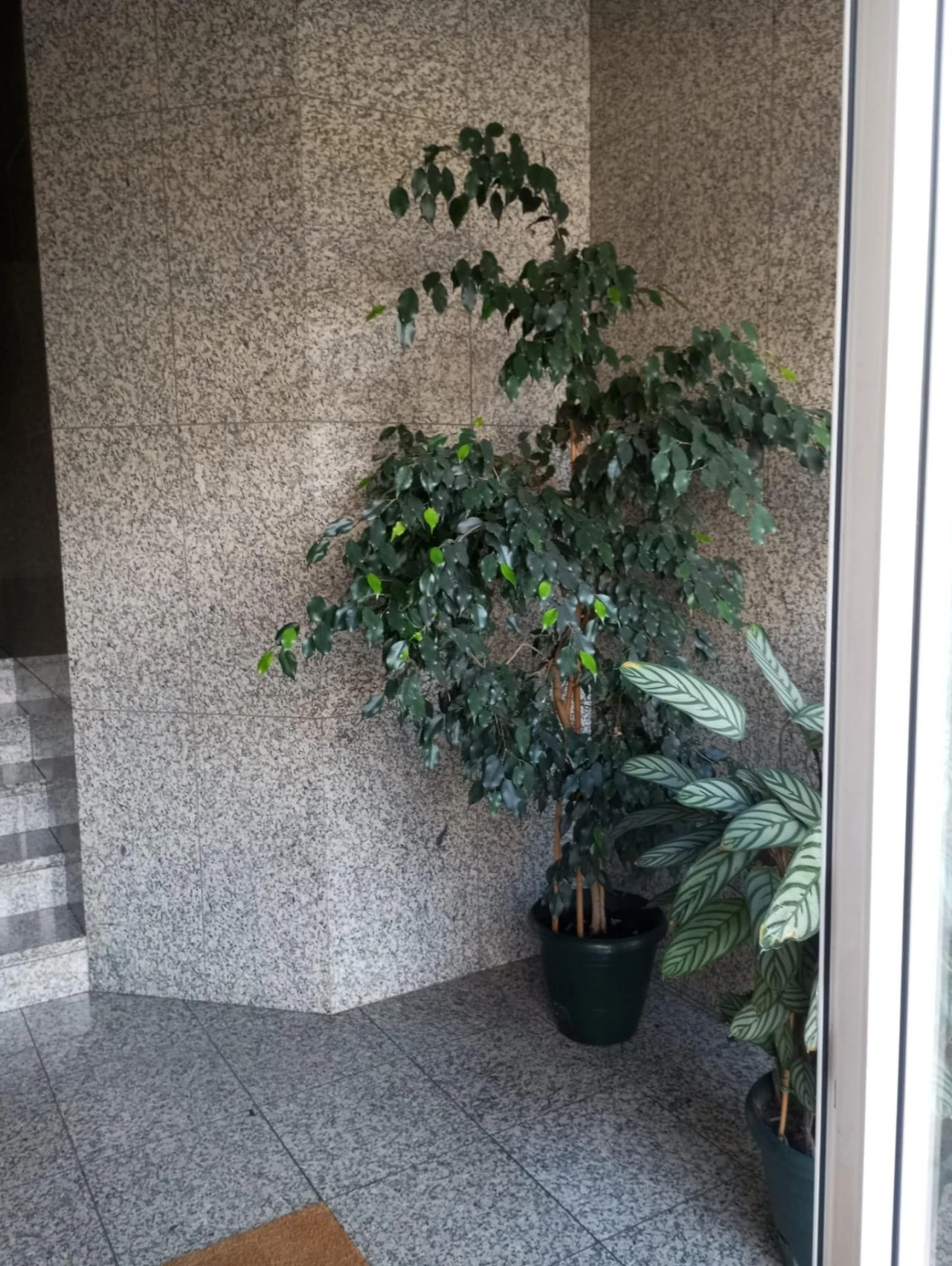 Apartamento T2 para Venda em Braga (São José de São Lázaro e São João do Souto) Foto 2