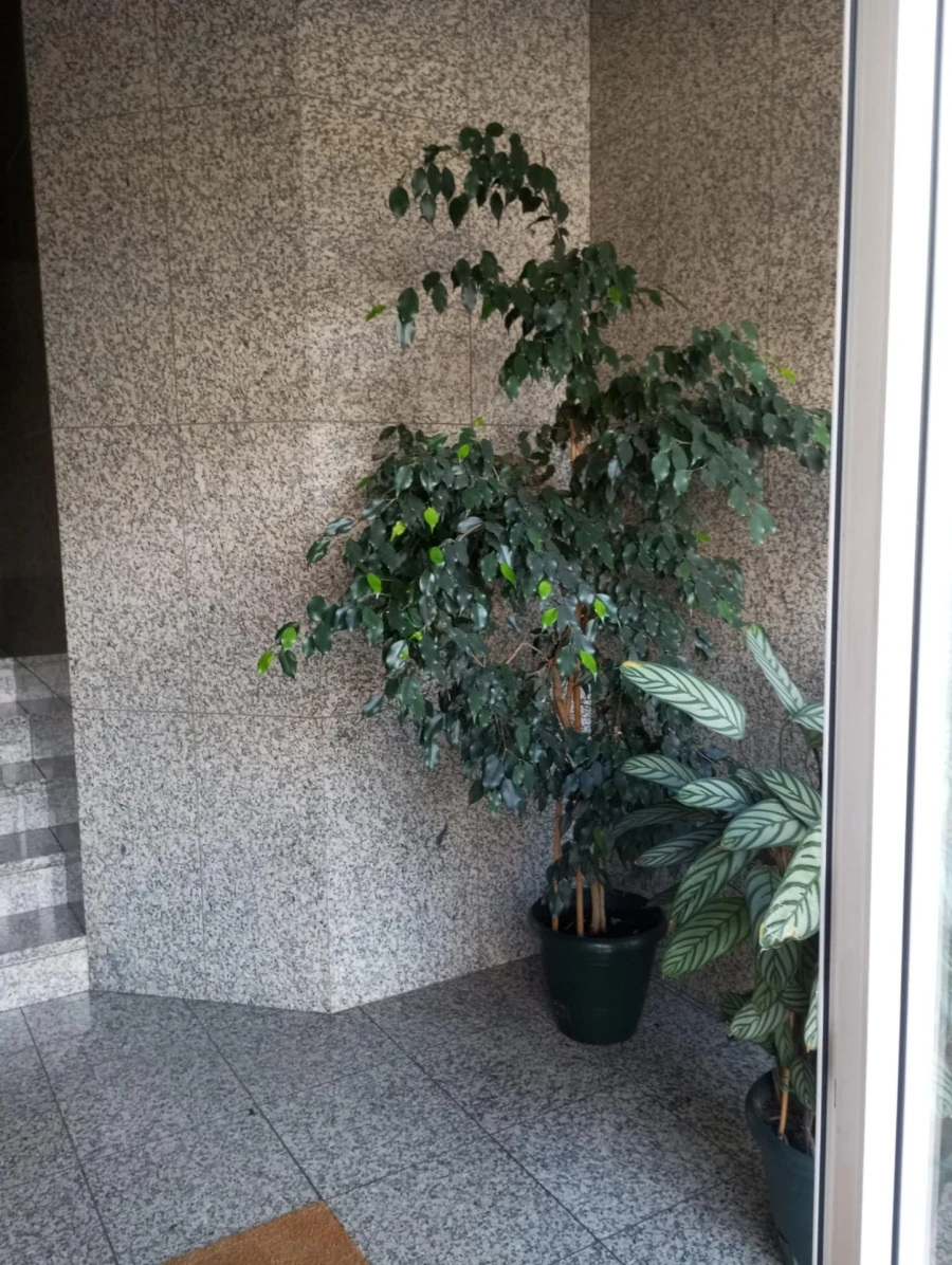 Apartamento T2 para Venda em Braga (São José de São Lázaro e São João do Souto) Foto 2
