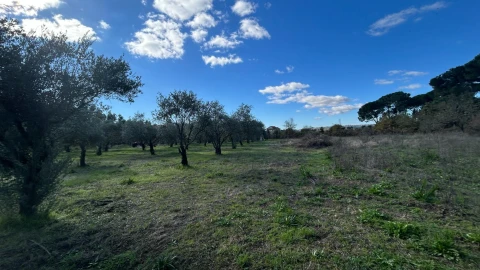 Moradia T3 para Venda em Povolide
