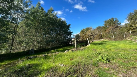 Moradia T3 para Venda em Povolide