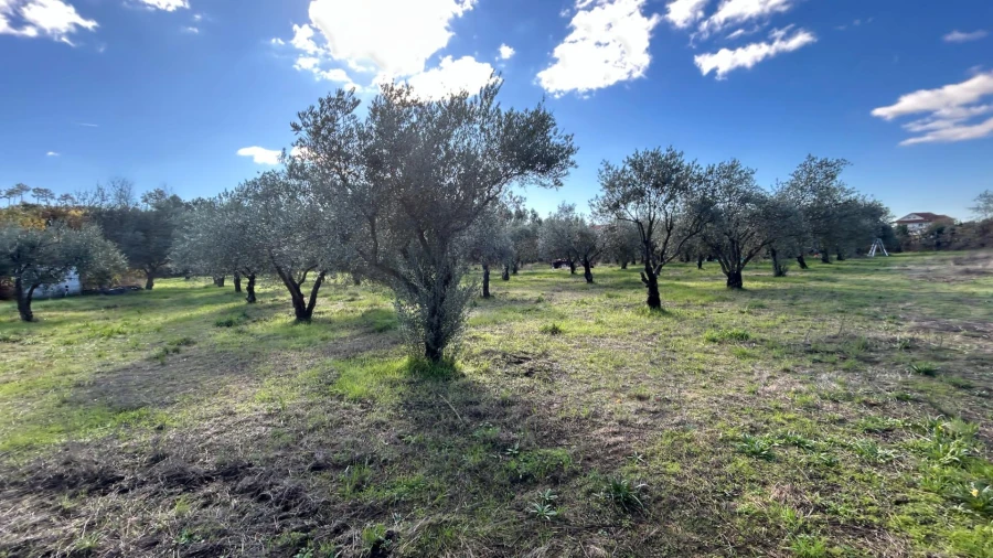 Moradia T3 para Venda em Povolide Foto 24