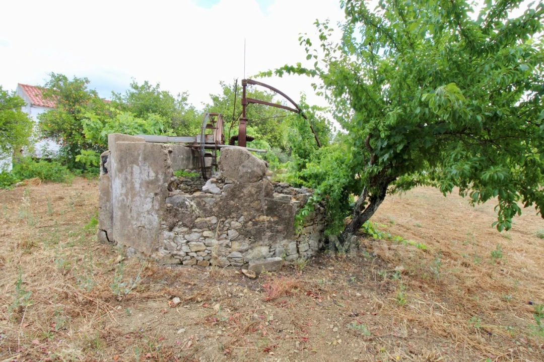 Moradia T2 para Venda em São Brás de Alportel Foto 23