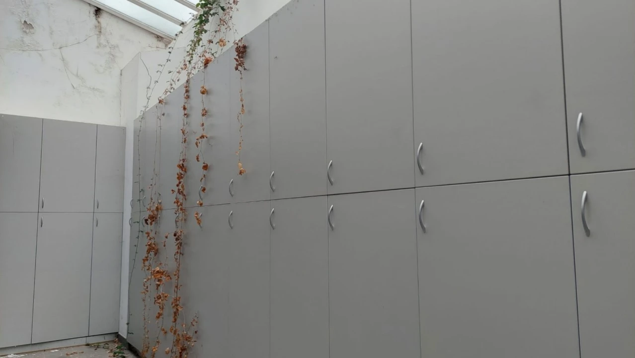 Escritório para Venda em Lumiar Foto 10