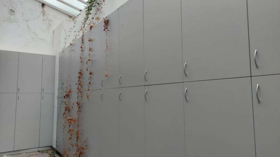 Escritório para Venda em Lumiar Foto 10