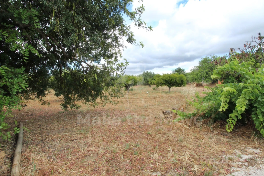 Moradia T2 para Venda em São Brás de Alportel Foto 22