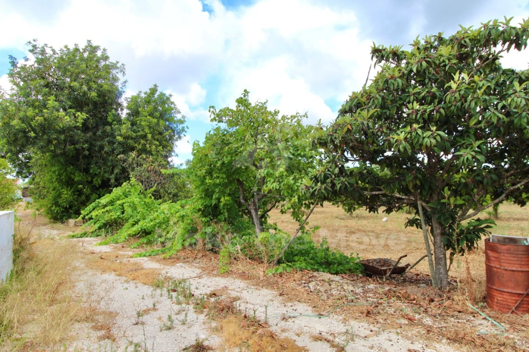 Moradia T2 para Venda em São Brás de Alportel Foto 20