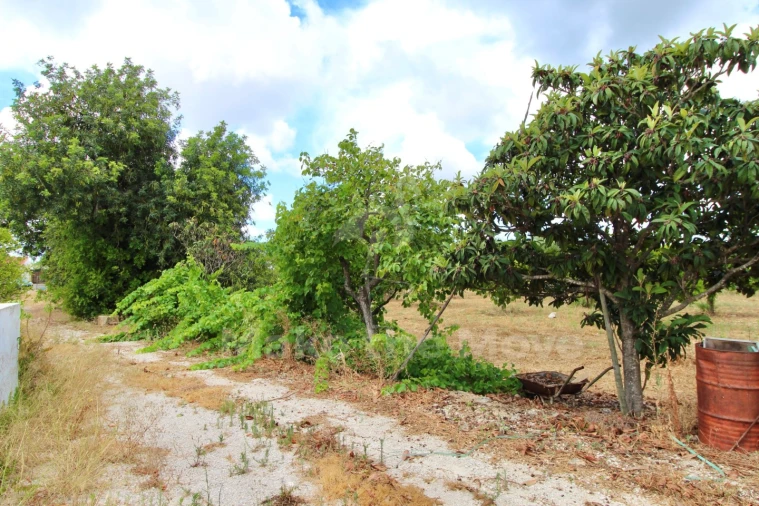 Moradia T2 para Venda em São Brás de Alportel Foto 20
