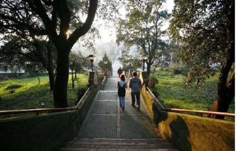 Apartamento T2 para Venda em Paranhos Foto 17