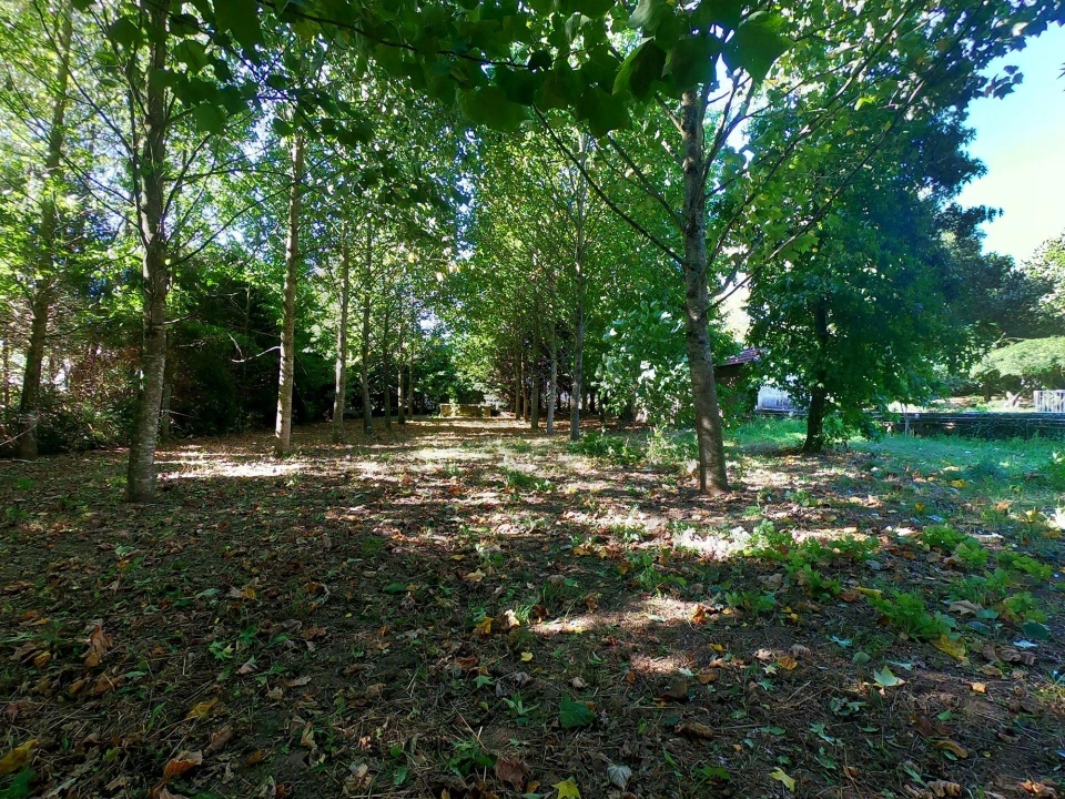 Quinta T5 para Venda em Abragão Foto 6