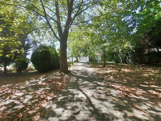 Quinta T5 para Venda em Abragão Foto 25