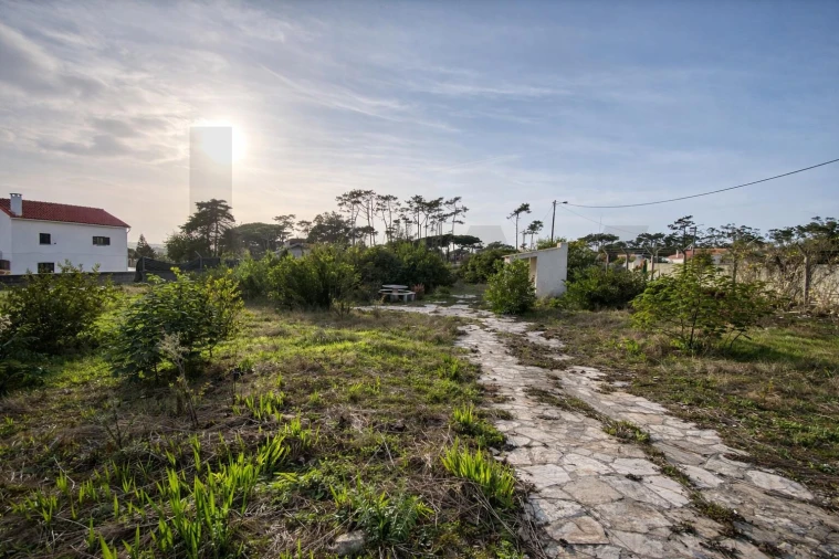Terreno para Venda em Santa Maria e São Miguel, São Martinho, São Pedro Penaferrim Foto 18