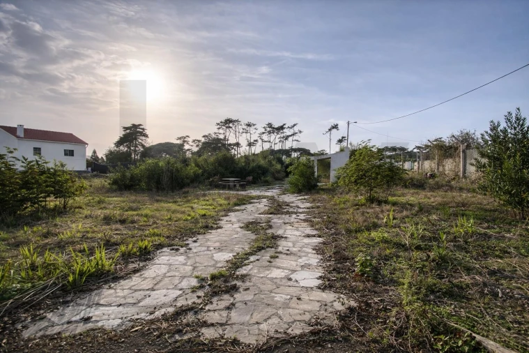 Terreno para Venda em Santa Maria e São Miguel, São Martinho, São Pedro Penaferrim Foto 20