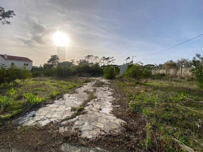 Terreno para Venda em Santa Maria e São Miguel, São Martinho, São Pedro Penaferrim Foto 2