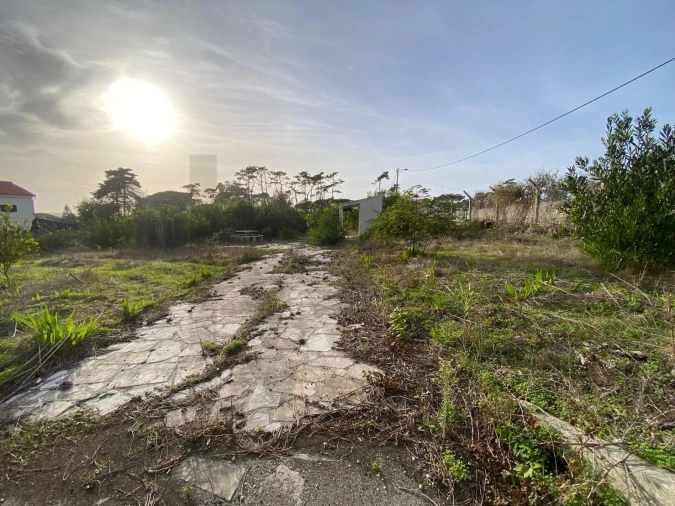 Terreno para Venda em Santa Maria e São Miguel, São Martinho, São Pedro Penaferrim Foto 1