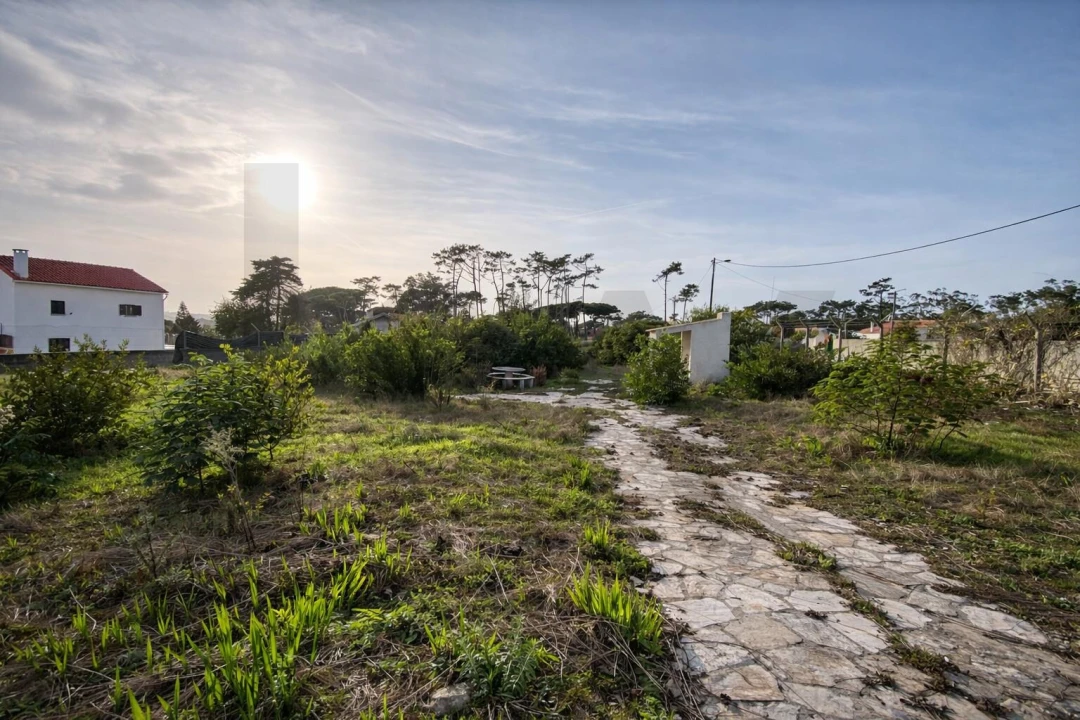 Terreno para Venda em Santa Maria e São Miguel, São Martinho, São Pedro Penaferrim Foto 18