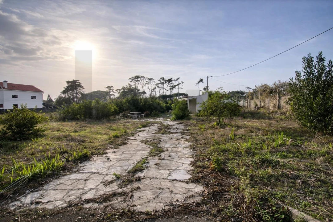Terreno para Venda em Santa Maria e São Miguel, São Martinho, São Pedro Penaferrim Foto 19