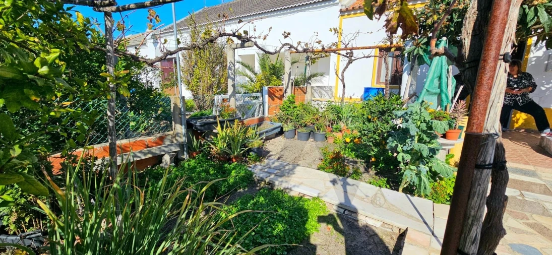 Moradia T3 para Venda em Grândola e Santa Margarida da Serra Foto 4