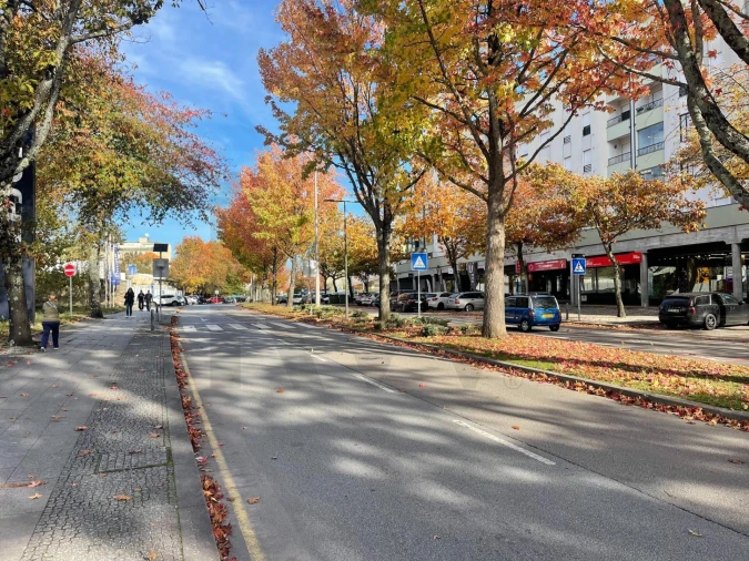 Loja para Venda em São João da Madeira Foto 5