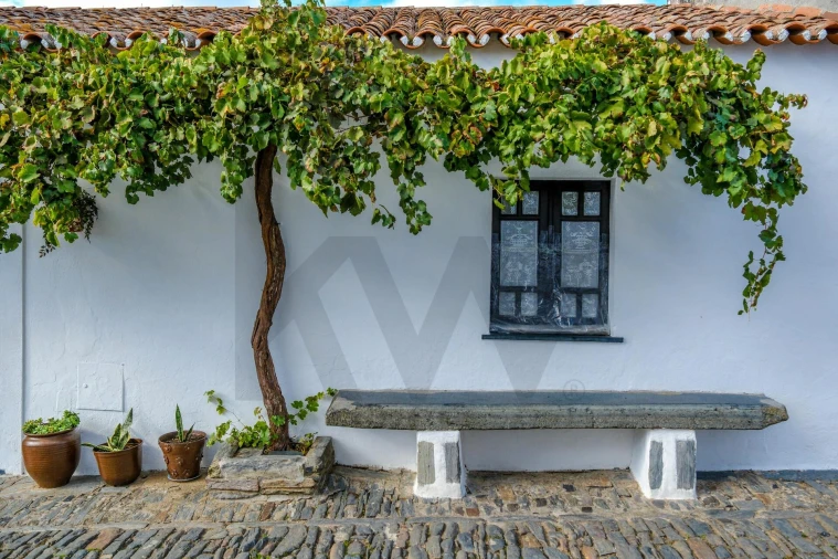 Moradia T3 para Venda em Monsaraz Foto 40