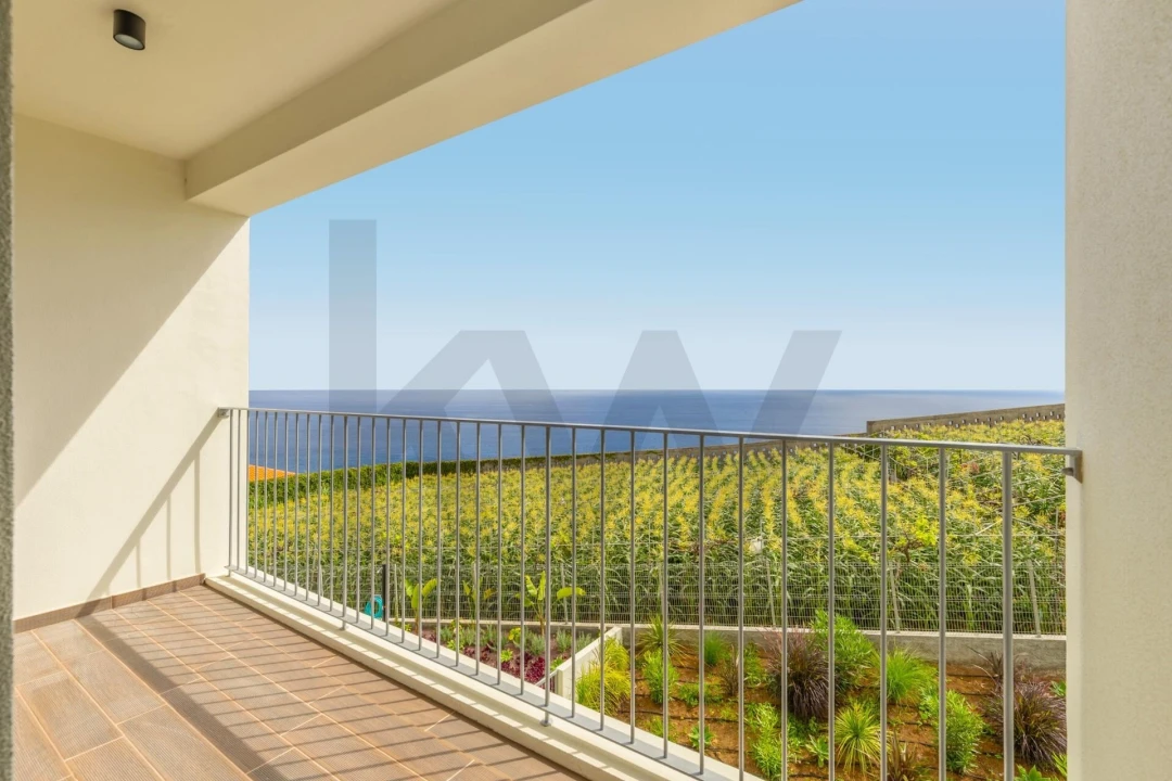 Apartamento T1 para Venda em Camara de Lobos Foto 4