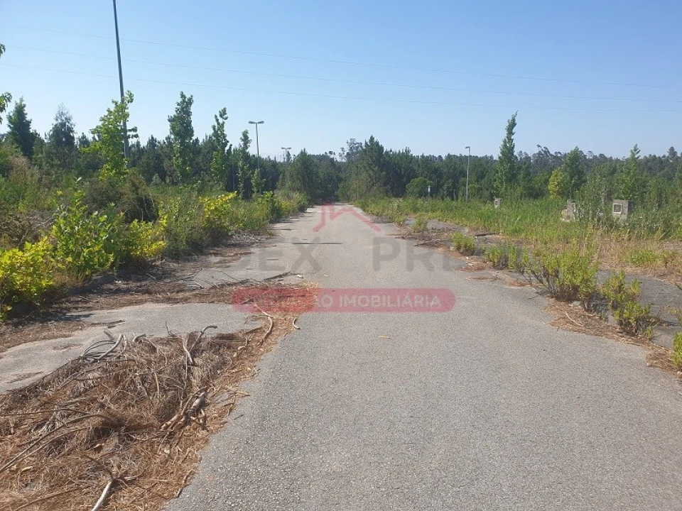 Terreno para Venda em Valongo do Vouga Foto 2