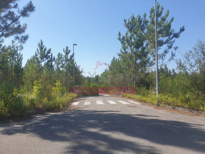 Terreno para Venda em Valongo do Vouga Foto 3