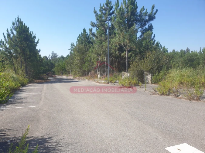 Terreno para Venda em Valongo do Vouga Foto 4