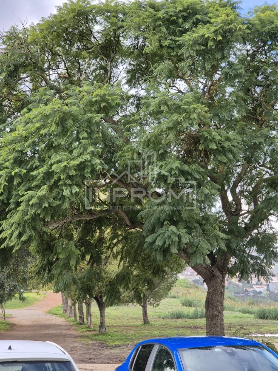 Apartamento T2 para Venda em Pontinha e Famões Foto 25