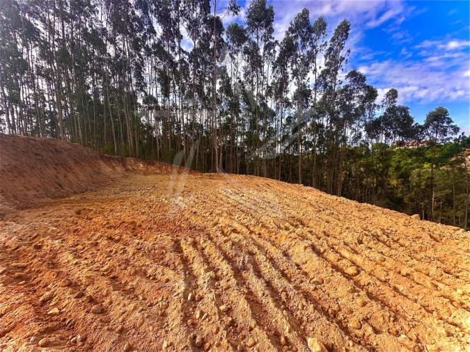 Terreno para Venda em Salir de Matos Foto 3
