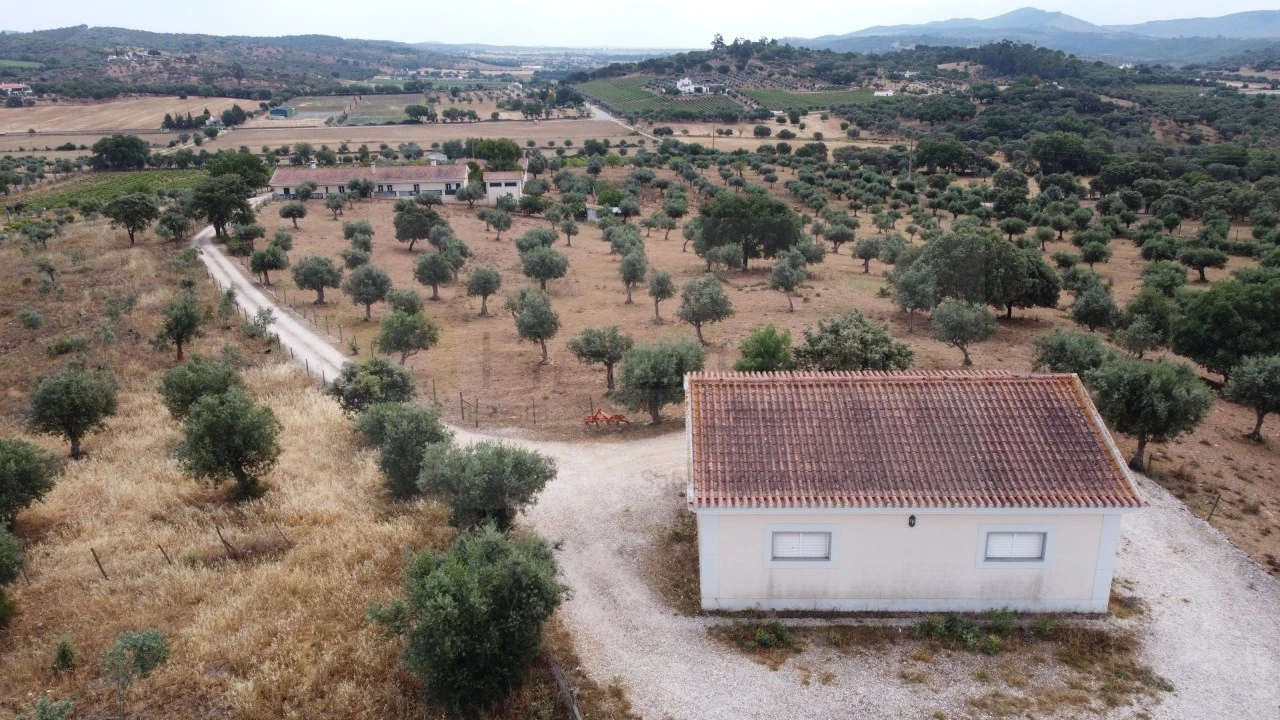 Quinta T4 para Venda em Estremoz (Santa Maria e Santo André) Foto 12
