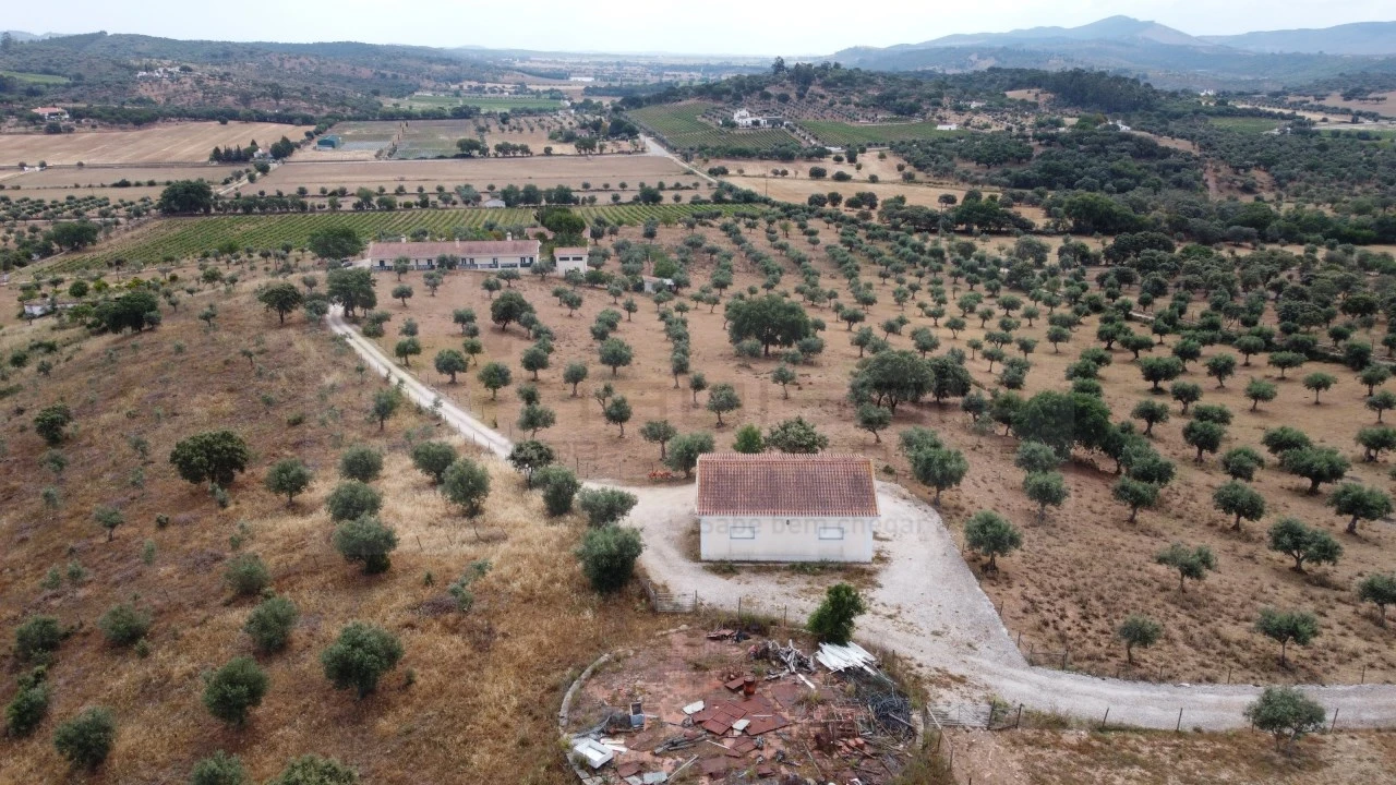 Quinta T4 para Venda em Estremoz (Santa Maria e Santo André) Foto 13