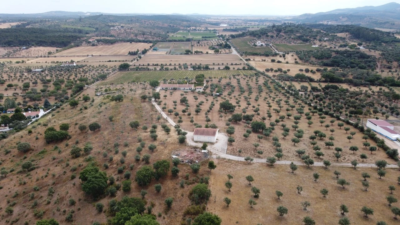 Quinta T4 para Venda em Estremoz (Santa Maria e Santo André) Foto 16