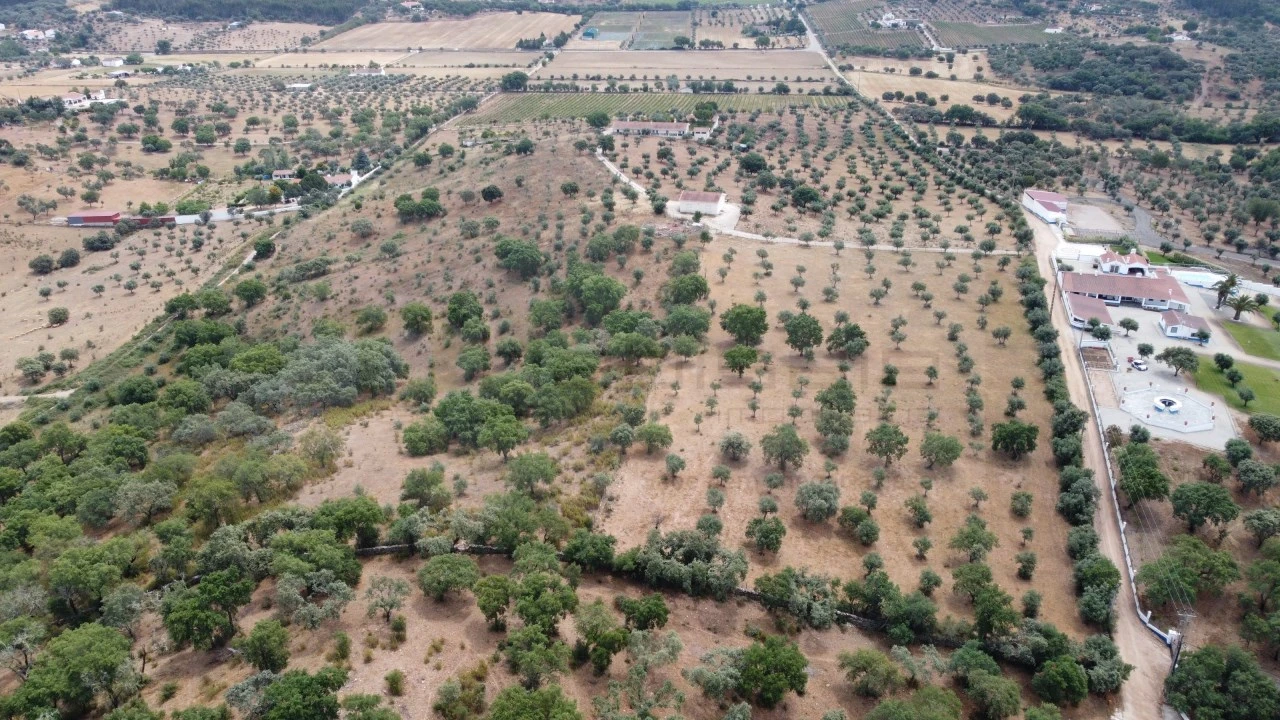 Quinta T4 para Venda em Estremoz (Santa Maria e Santo André) Foto 18