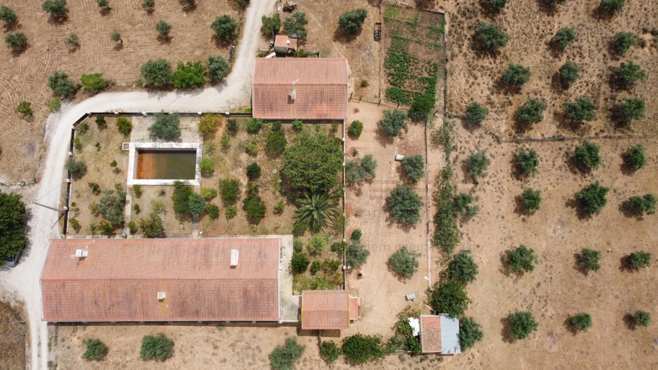 Quinta T4 para Venda em Estremoz (Santa Maria e Santo André) Foto 21