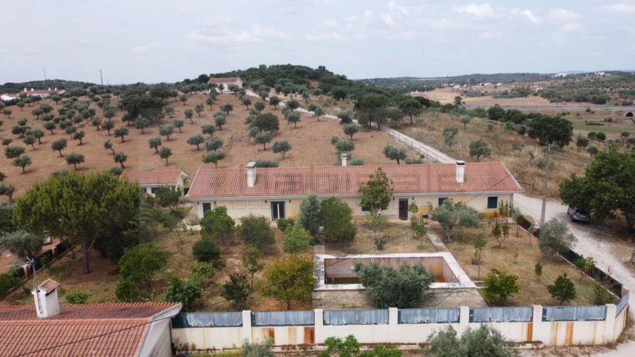 Quinta T4 para Venda em Estremoz (Santa Maria e Santo André) Foto 2