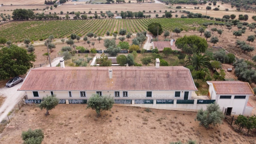 Quinta T4 para Venda em Estremoz (Santa Maria e Santo André) Foto 3