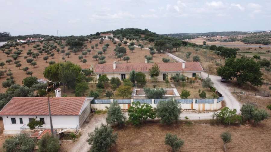 Quinta T4 para Venda em Estremoz (Santa Maria e Santo André)