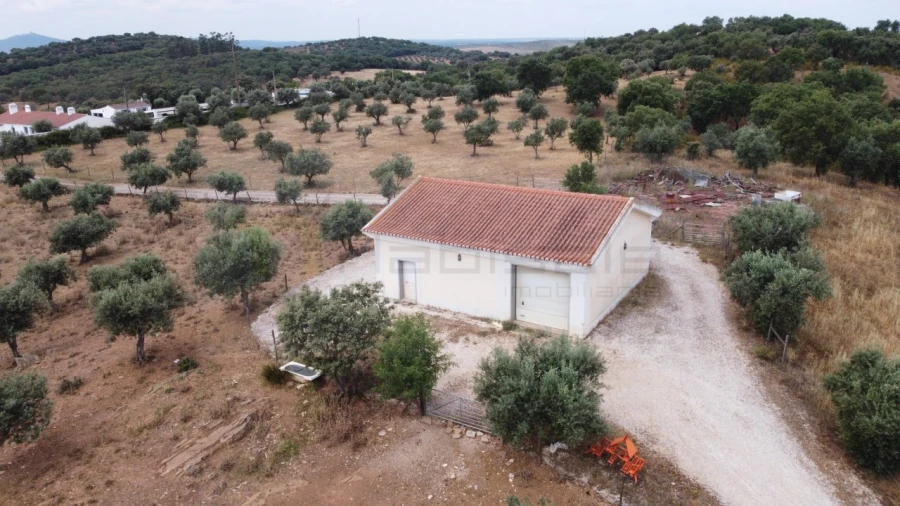 Quinta T4 para Venda em Estremoz (Santa Maria e Santo André) Foto 8