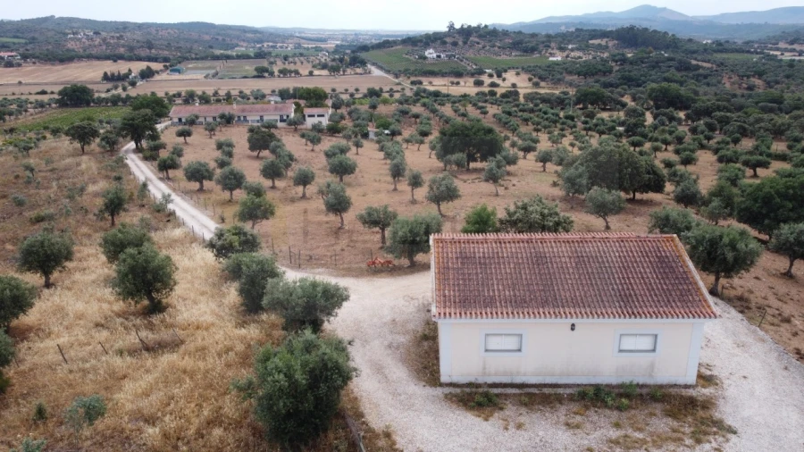 Quinta T4 para Venda em Estremoz (Santa Maria e Santo André) Foto 12
