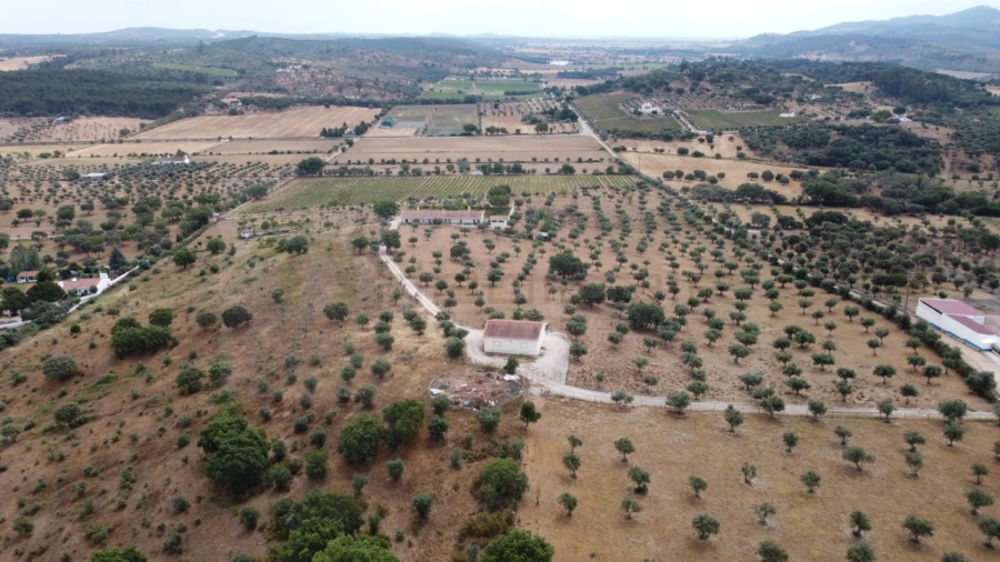 Quinta T4 para Venda em Estremoz (Santa Maria e Santo André) Foto 16
