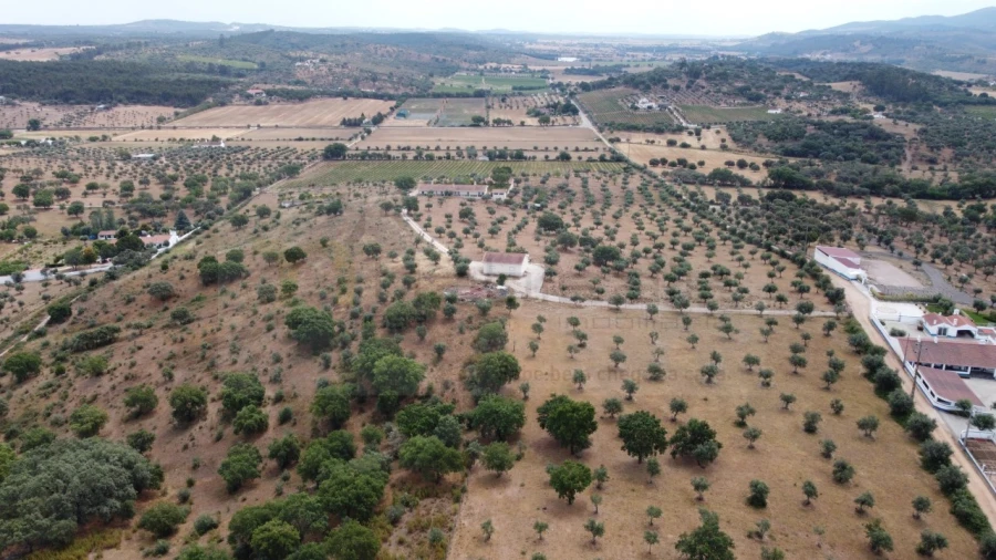 Quinta T4 para Venda em Estremoz (Santa Maria e Santo André) Foto 19