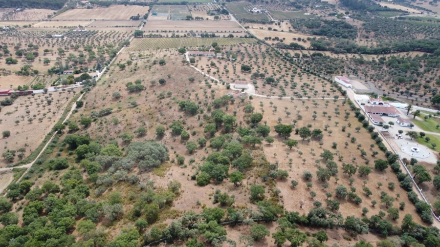 Quinta T4 para Venda em Estremoz (Santa Maria e Santo André) Foto 20