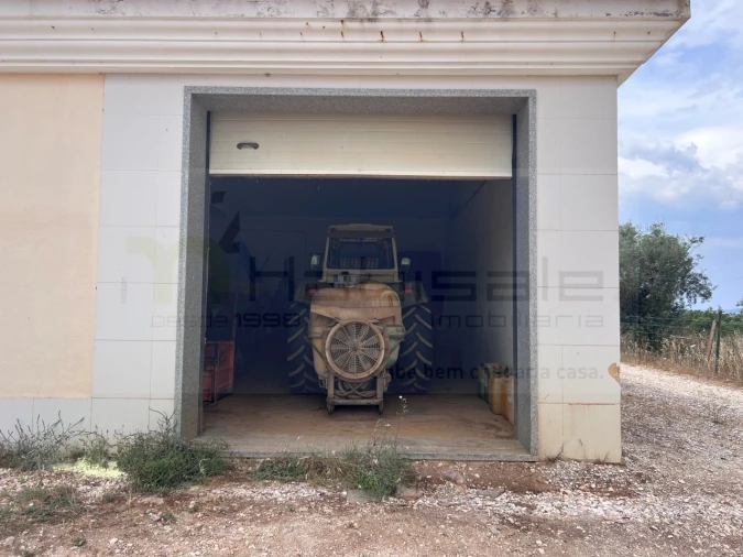 Quinta T4 para Venda em Estremoz (Santa Maria e Santo André) Foto 25