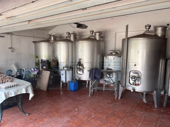 Quinta T4 para Venda em Estremoz (Santa Maria e Santo André) Foto 26