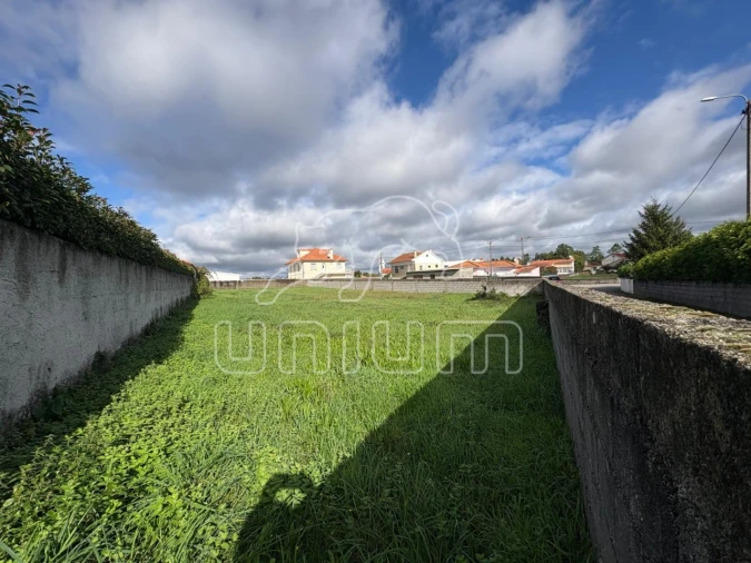 Terreno para Venda em Alvarães Foto 4