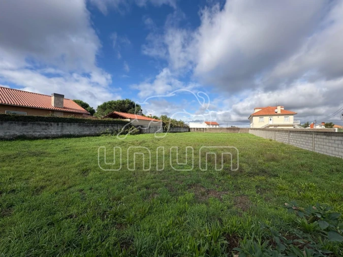 Terreno para Venda em Alvarães Foto 3