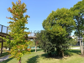 Apartamento T3 para Venda em Glória e Vera Cruz