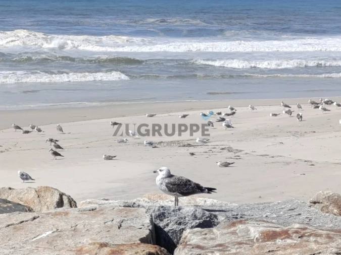 Apartamento T3 para Venda em Glória e Vera Cruz Foto 45