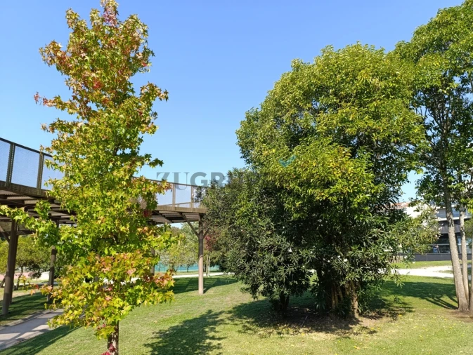 Apartamento T1 para Arrendamento em Glória e Vera Cruz Foto 24